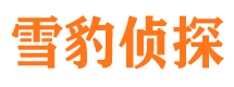 曲阳侦探